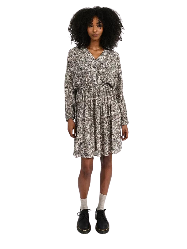 Paisley Dress