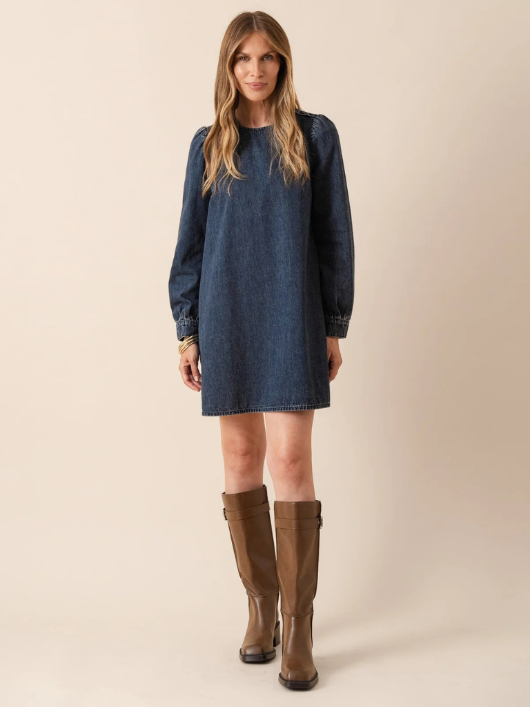 Laurene Denim Dress
