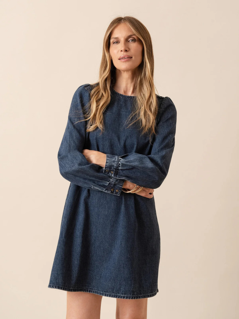 Laurene Denim Dress