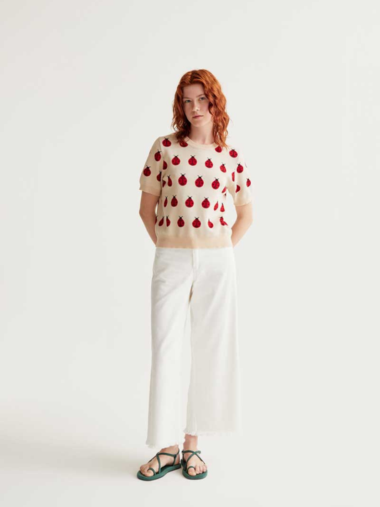 Ladybug Sweater