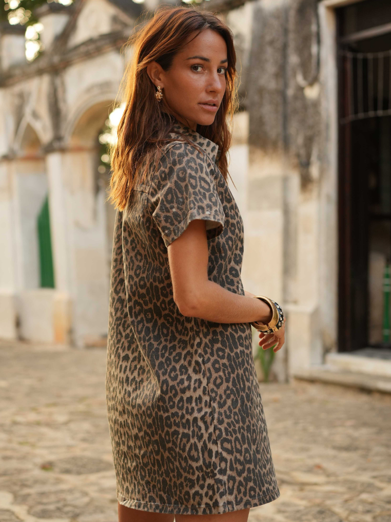 Rouane Leopard Dress