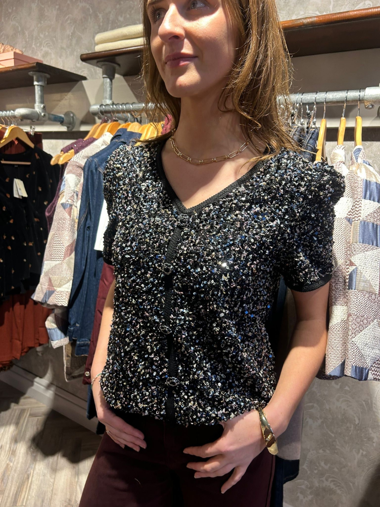 Laura Sequin V-Neck Top